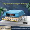 Розумний міні-інкубатор для дому: Повністю автоматичний інкубатор для перепелиних та курячих яєць з контролем постійної температури