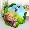 Accessoires – Regenschirme