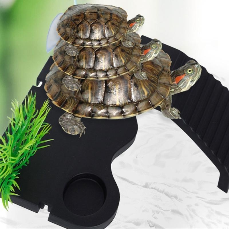 Durability Plastomer Turtles Rest Platform Easyly Install Turtles Sun Deck for Safe Sunbathing and Playing X3UC