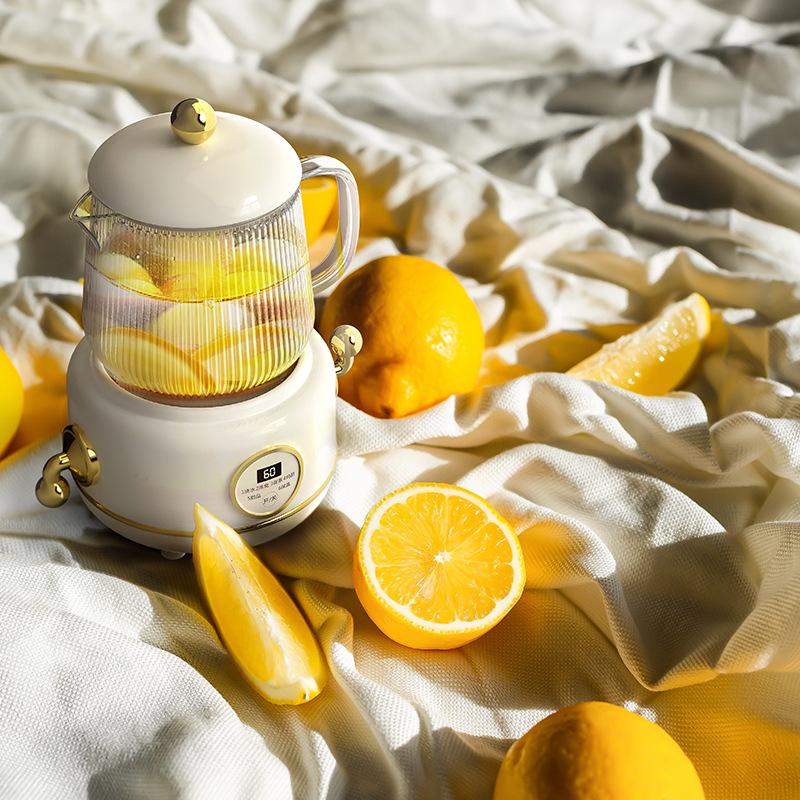 Electric Multifunctional Stew Cup & Kettle: Portable Boiling & Heating for Tea, Bird's Nest, and Health Drinks