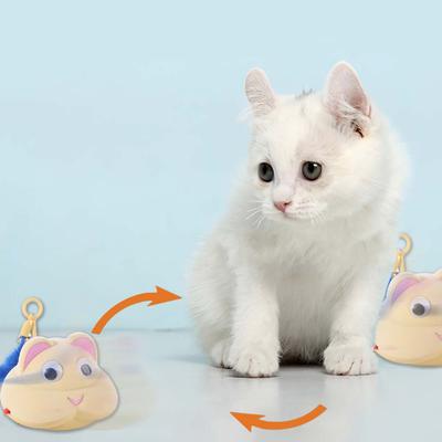 Electric Interactive Cat Toy Rechargeable Automatic Cat Teasing Device  for Indoor Cats Puppies