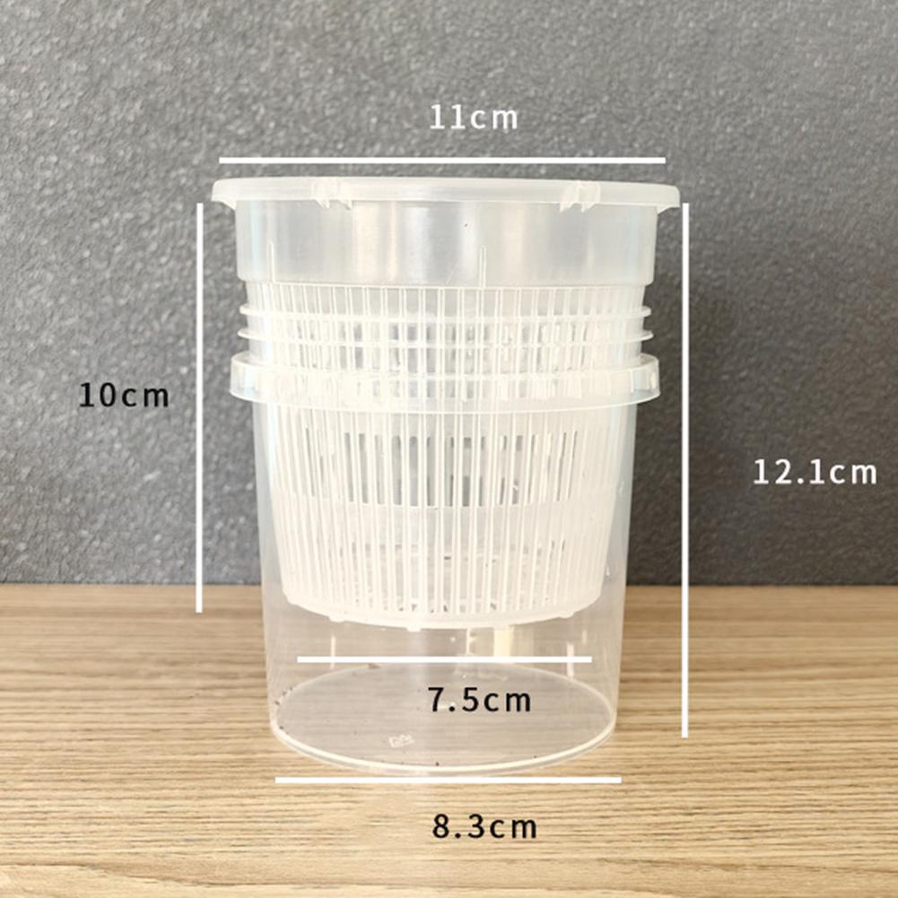 Automatic Watering Planters Phalaenopsis Orchid Pots Prevent Root Rot Root Care Technology Water Storage System