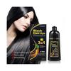 (Nero) Shampoo Tinta per Capelli Shampoo Colorante per Capelli Colora i Capelli in Minuti Lunga Durata 500ml