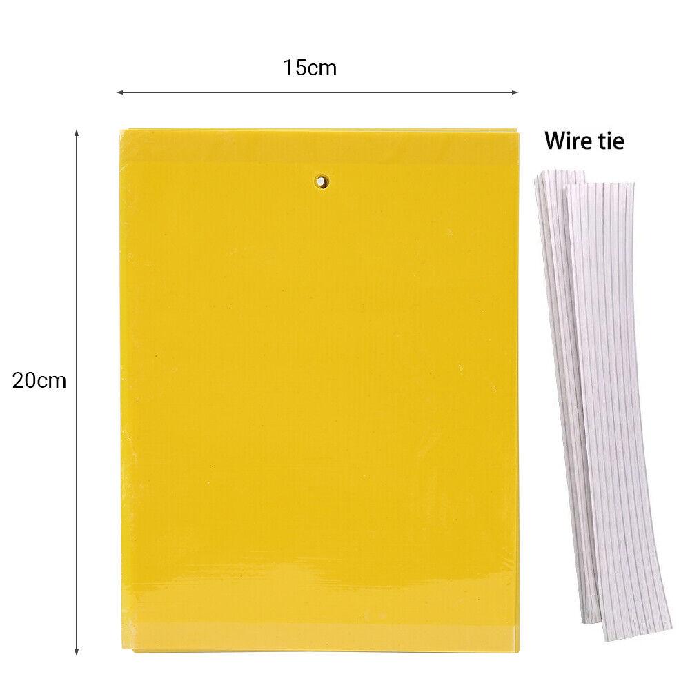 50x Klebefalle Fruchtfliegen Fliegenfalle Insekt Gelbe Klebefallen Klebefliegenpapier