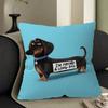 THE S-SECRET L-LIFE OF PETS Pillowcases Home Bedding Decorative Pillow Cover Wedding Super Soft Pillow Case