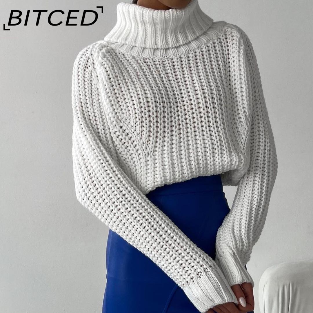 

BITCED осенне-зимняя водолазка, свободный повседневный универсальный свитер с длинными рукавами, трикотаж M белый