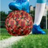 OGC Nice FC Size 5 Standard Football Durable Training Match Soccer Ball for Adult Outdoor Sports