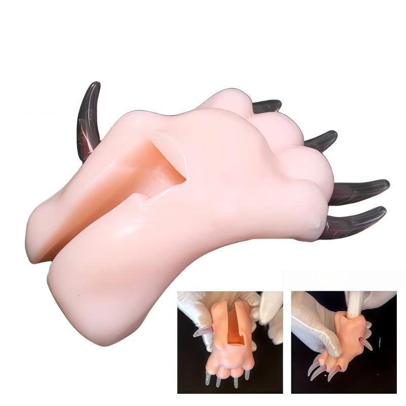 Silicone Realistic Dog Paw Training Practice Model for Pet Nail Trimming Beginner Instructional Tool Party Novelty Gift Bulk
