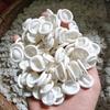 Pack Of 100 Latex Finger Cots Flexibility and Antislip Finger Protective Finger Sleeves For Precise Jewelry Handling