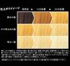 Got2b Bonding Bleach Hair Color [Quasi-drug] (2 Boxes)