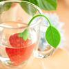 Strawberry-Shaped Tea Infuser - Creative Loose Leaf & Herbal Spice Diffuser with Easy-Use Green Handle, Bar & Kitchen
