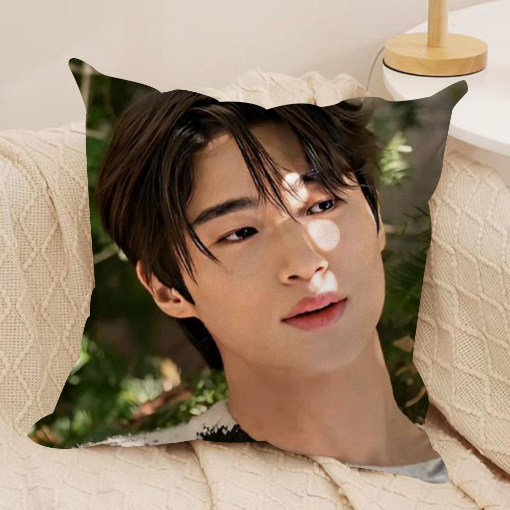 BByeon Wooseok Korea Cushion Cover Silky Short Plush DoubleSided Printed Pillow Case for Sofa All Seasons Home Decor Gift