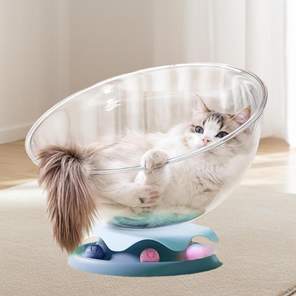 Space Capsule Cat Bed Hammock Supplies Furniture Stable Small Pets Toy Kitten Nest for