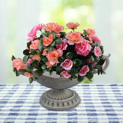Flower Urn Vase Metal Anniversary, Ceremony Planter Trumpet Plant