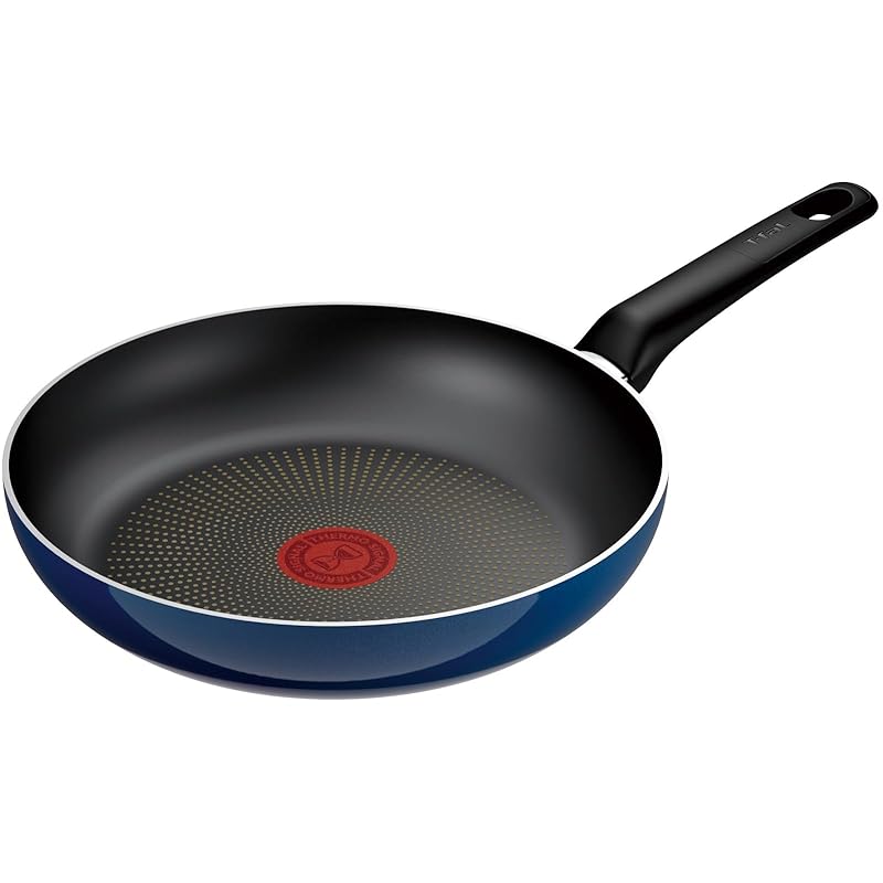 

T-fal Royal Blue-Intense Frying Pan, 24cm, for gas stoves only, free of harmful substances like PFOA, and long-lasting non-stick properties, model
