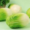 New Release Vegetable Cabbage Squeeze Toy For Kids Soft And Realistic Stress Relief Toy