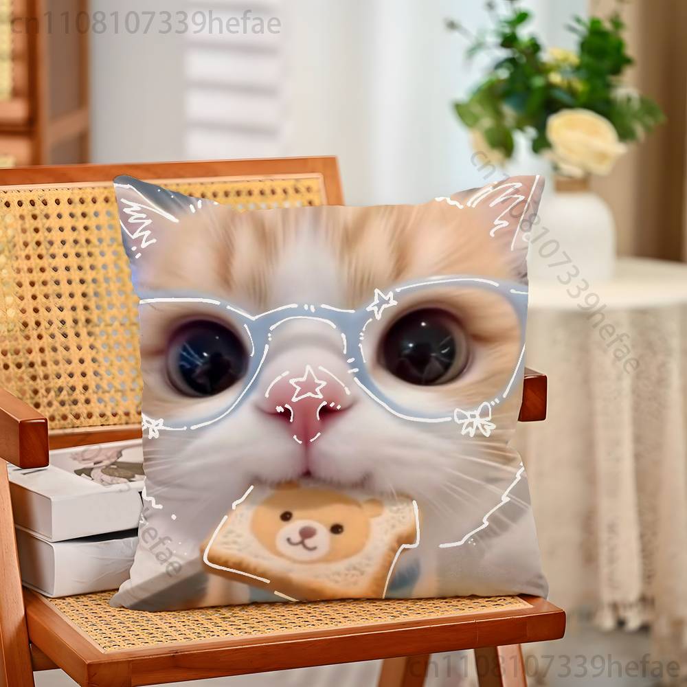 Cat Memes Funny Meme Print Polyester Pillow Case for Valentine Gift Home Sofa Cushion Cover Decoration Custom