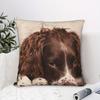 English Springer Spaniel DogThrow Pillow Cover Double Sided Print Cushion Case Pet Lovers Gift Living Room Couch Sofa Home Decor