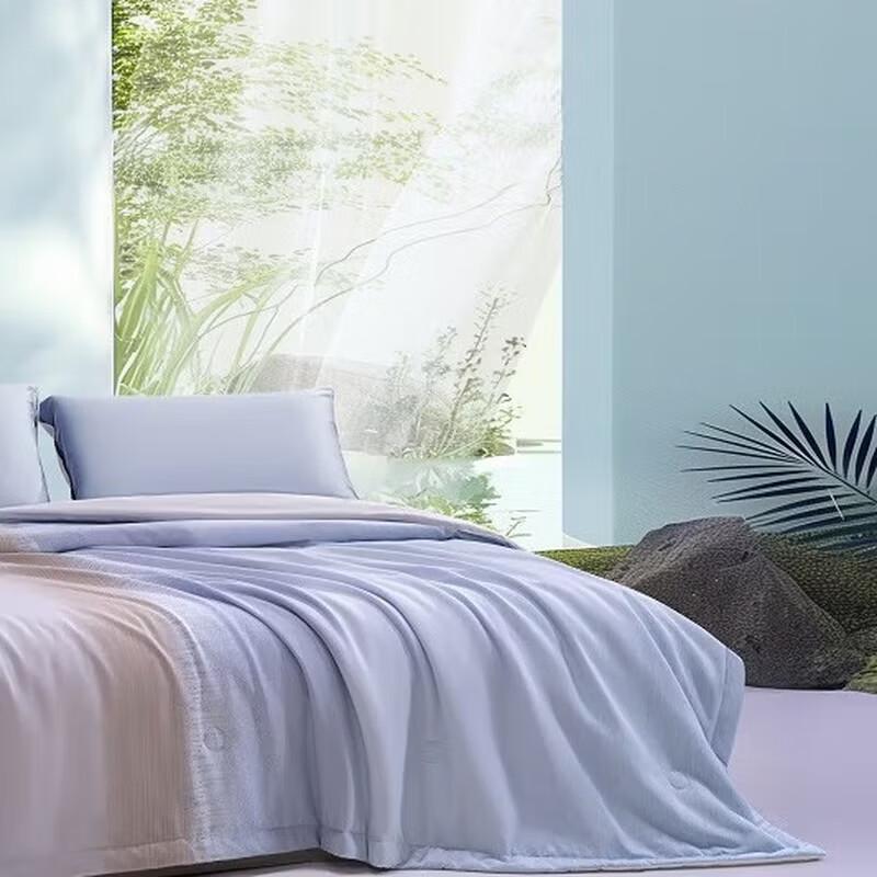 Mercery Theanine Washable Summer Quilt