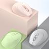 Silent Laptop Wireless Mouse Portable Ergonomic Mouse Lightweight Wireless Mice  Office
