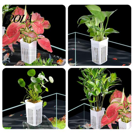 Plastic Plant Cup Tank Container, Hydroponic Holder, Wall Mounted Holder Aquatic Pot, Aquarium Planter Pot Fish Decoration