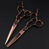 6.0-Inch Antique Bronze Gold Skull Handle Haircutting & Thinning Scissors Set