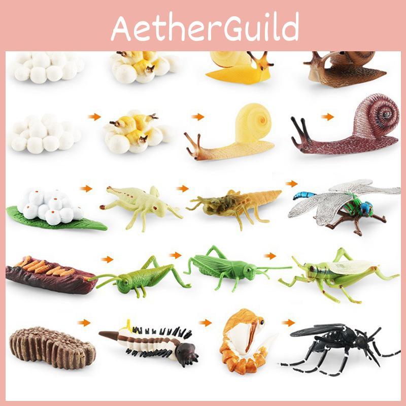 Detailed Pvc Insect And Animal Model Toys Snail Dragonfly Mosquito Grasshopper Realistic Life Cycle Stages