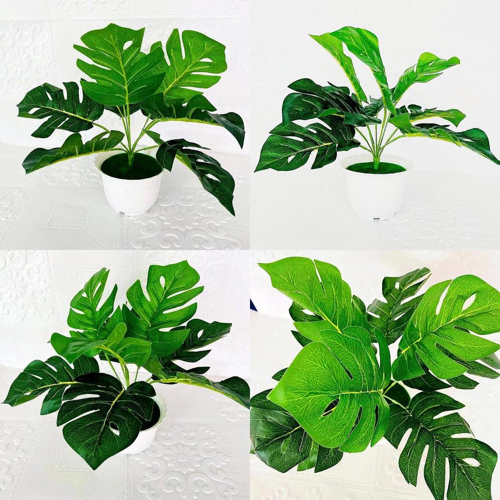 Artificial Plant Green Pot 9 Turtleback Leaf Faux Foliage Home Decor Photography