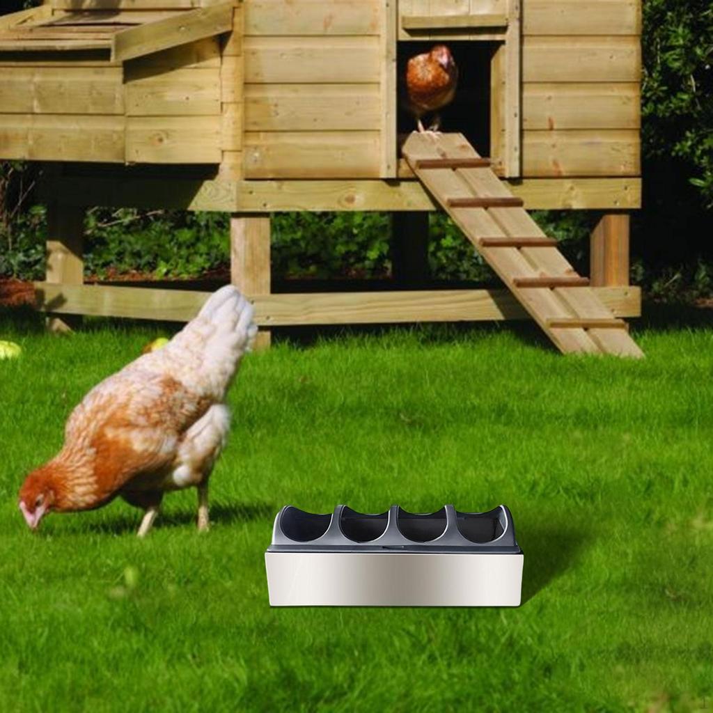 Feeder Trough Chick Feeding Dispenser No Waste Stainless Steel Tray for Bird Parrots Turkey