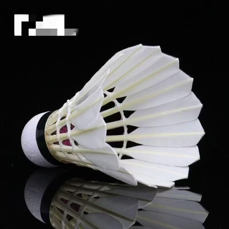 HANDUNYOU No. 6 Durable Badminton Shuttlecocks