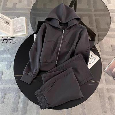 2026 Koreaanse Stijl Dames Casual Sportkleding: Rits Hoodie & Wijde Broek Set voor Lente/Herfst