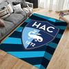 HAC Logo Shield Design Carpet Suitable As a Non-slip Mat for the Living Room or Bedroom Sofa