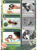 Portable 1000x Microscope Camera for Kids' Science and Middle School Projects.