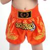 Huìqílù Muay Thai & MMA Fighting Shorts