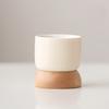 Japanese Minimalist Wooden Teacup Gift Set - Cream Style for Women, Personal Use, Tasting Cup