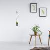 1Pcs Air Plant Hanging Hook Pineapple Design Strong Iron Tillandsia Holder Decorative Display Planter for Home Garden