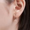 CRANNE 14K GF Whale Tail Cubic Wave Earrings C24EGF213