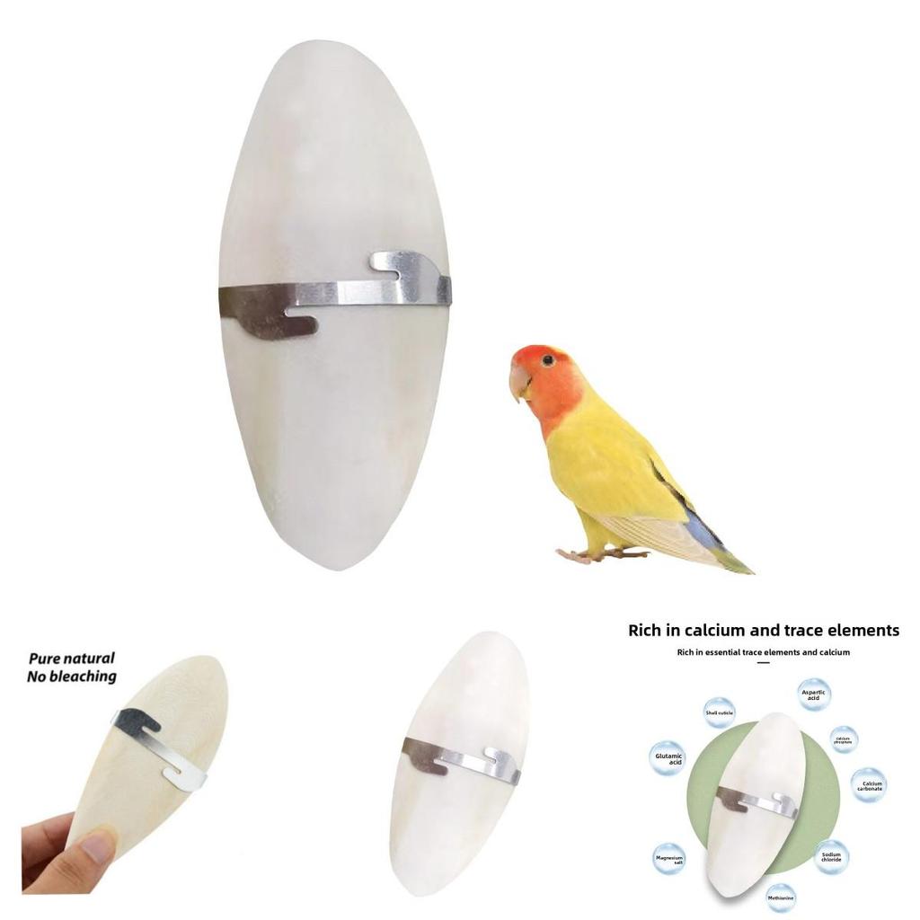 Pet Bird Chewing Treats With Odorless Calcified Cuttlefish Bone For Parrots And Small Birds