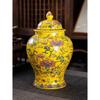 Pot Général Couleur Émail Nordique Grand Pot Scellé Théière Anti-humidité Ornement Artisanat Contenant de Stockage Alimentaire Décoration