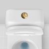 Botón de Cisterna de Latón Cepillado Dorado Compatible de 38 mm para Reformas