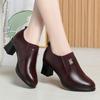 Thick Heel Deep Mouth Medium Women's Shoes Middle-aged and Elderly Single Shoes Spring New Shoes Leather Soft Sole Women's Leather Shoes