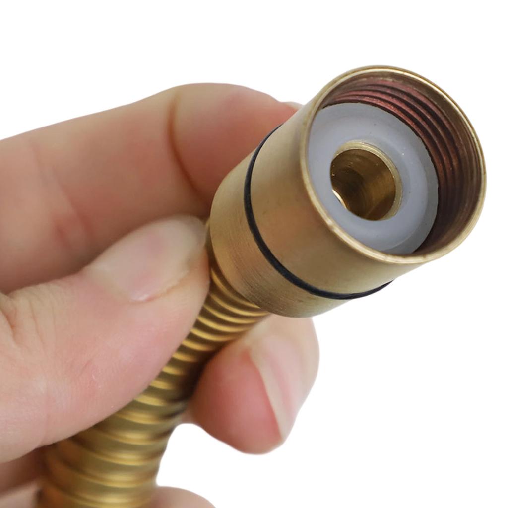 Brass Shower Head Handheld Shower Replacement Leak-resistant Pressurized Design Removable Design Rust-resistant