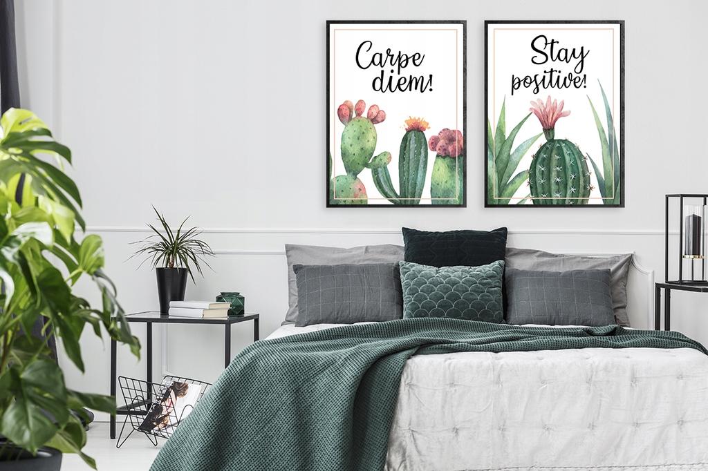 Obraz plakat w ramie 53x73cm dyptyk komplet 2obrazów carpe diem kaktus p980