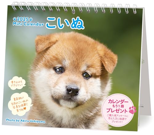 

2025 Mini Calendar Koinu (Desk/Wall Hanging) Dog ([Calendar])