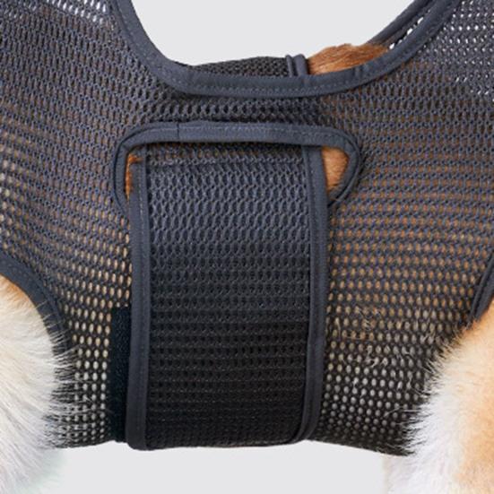 Pet Hammock Vent Hole Fastener Tape Strong Bearing Puppy Kitten Trimming Hammock Helper Pet Accessory
