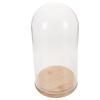 Elegant Glass Dome Cover for Display DIY Keepsakes and Home Decoration Transparent Dustproof Design Stable Base