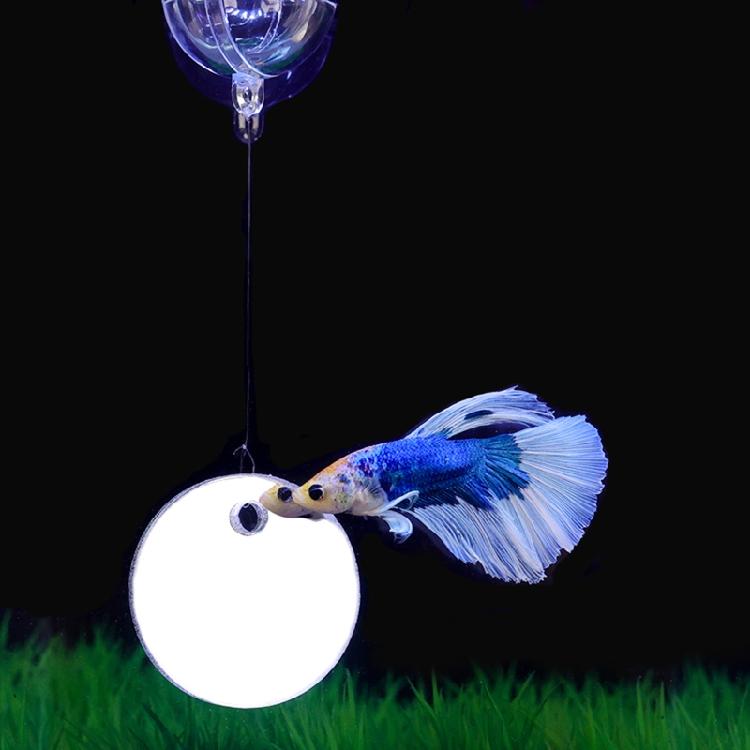 Kreis-Übungsspiegel für Betta oder andere Fische 5cm/6cm/7cm Fische für Aquarium Spielzeug
