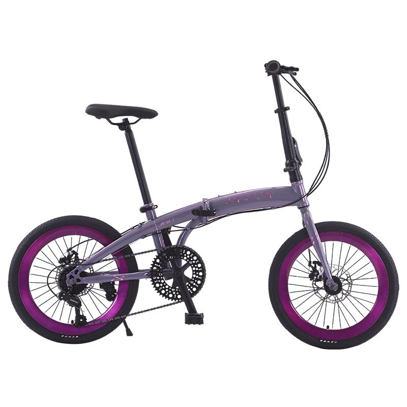 SUKETR Folding Bicycles DSD-SKP10 20 inches
