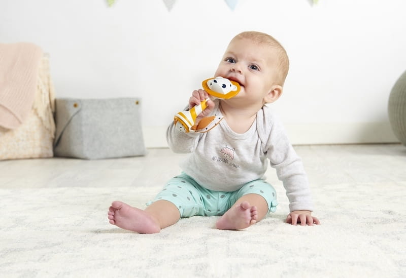 Leonardo The Lion Teether Rattle, Tiny Love