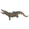 Simulation Crocodilian Model Lifelike Wild Life Jungle Animal Figures Model for Collection Science EducationCrocodilian